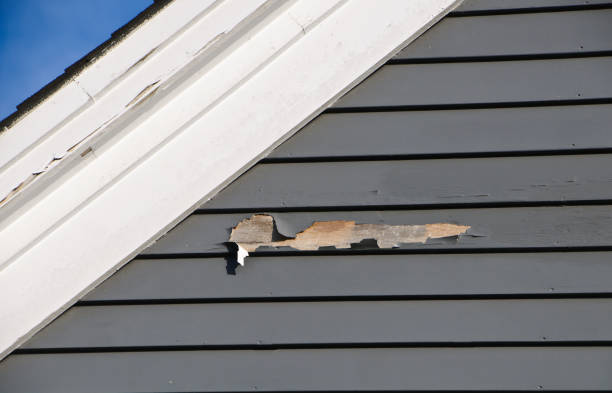 Best Shed Removal  in Egan, LA